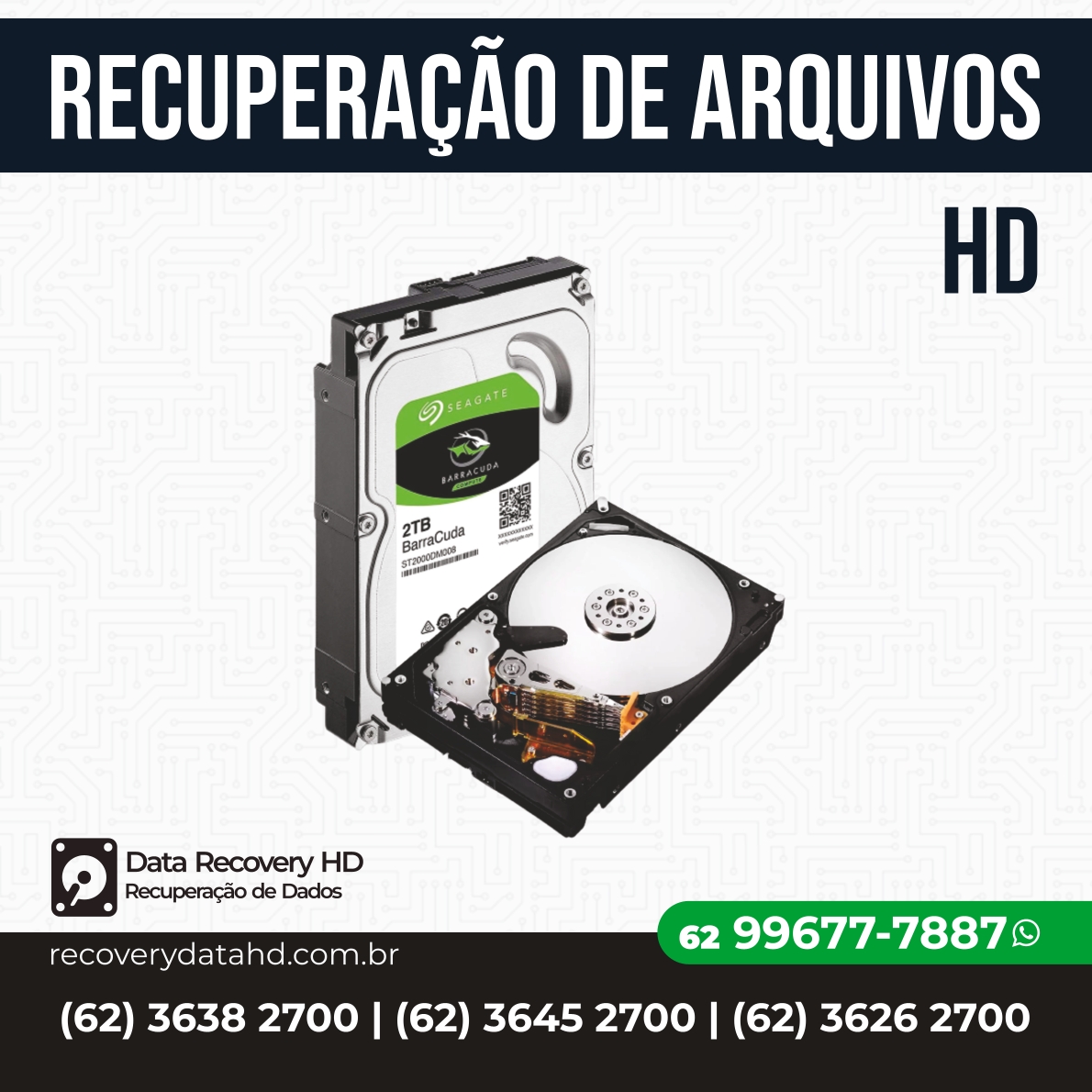 RECOVERY DADOS GOIANIA-RECUPERAÇÃO DE ARQUIVOS DE HD GOIANIA