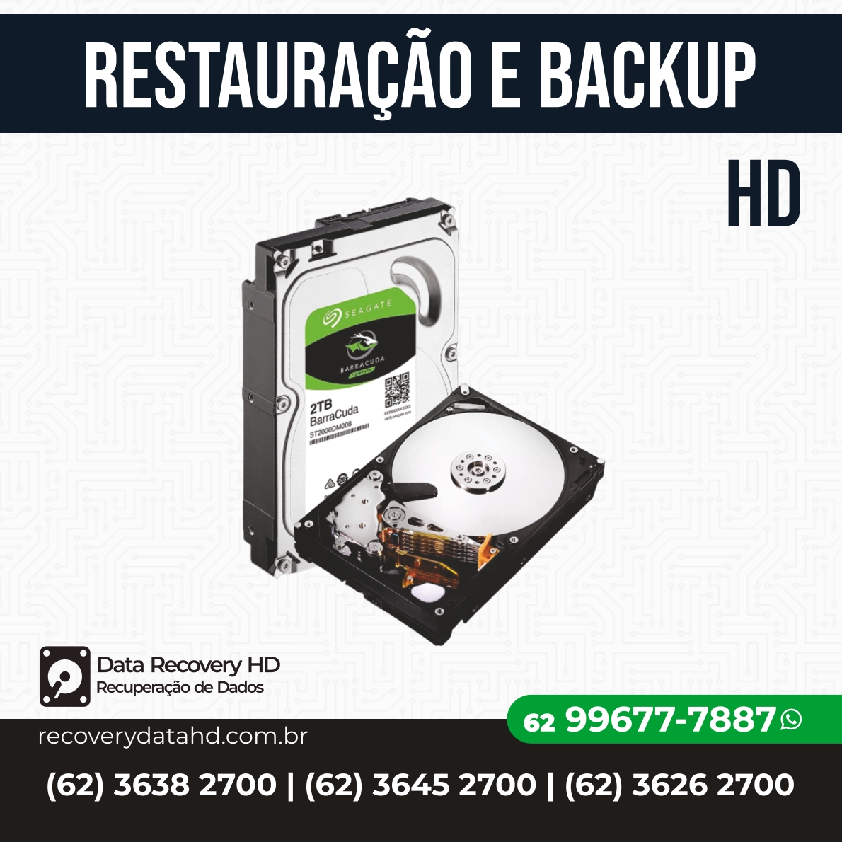 RECOVERY DADOS GOIANIA-RECUPERAÇÃO DE DADOS DE DISCO RIGIDO GOIANIA