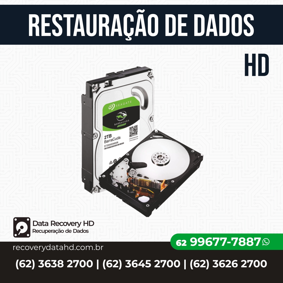 RECOVERY DADOS GOIANIA-RESTAURAÇÃO DE ARQUIVOS HD GOIANIA